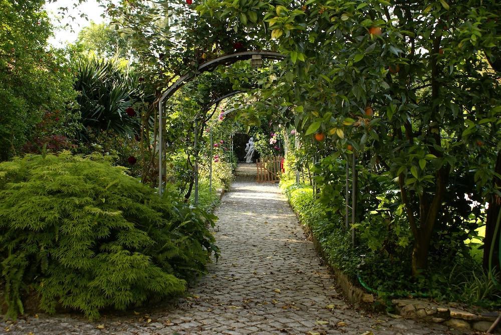 Quinta De Sao Lourenco Anadia Exteriör bild