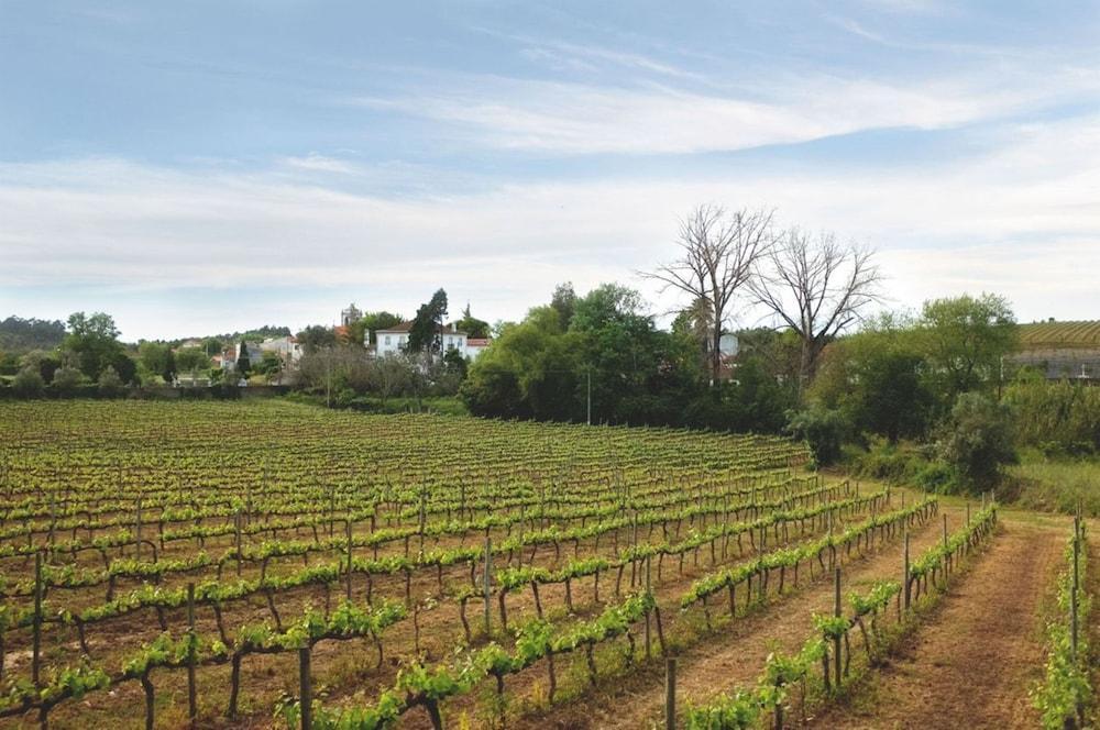 Quinta De Sao Lourenco Anadia Exteriör bild