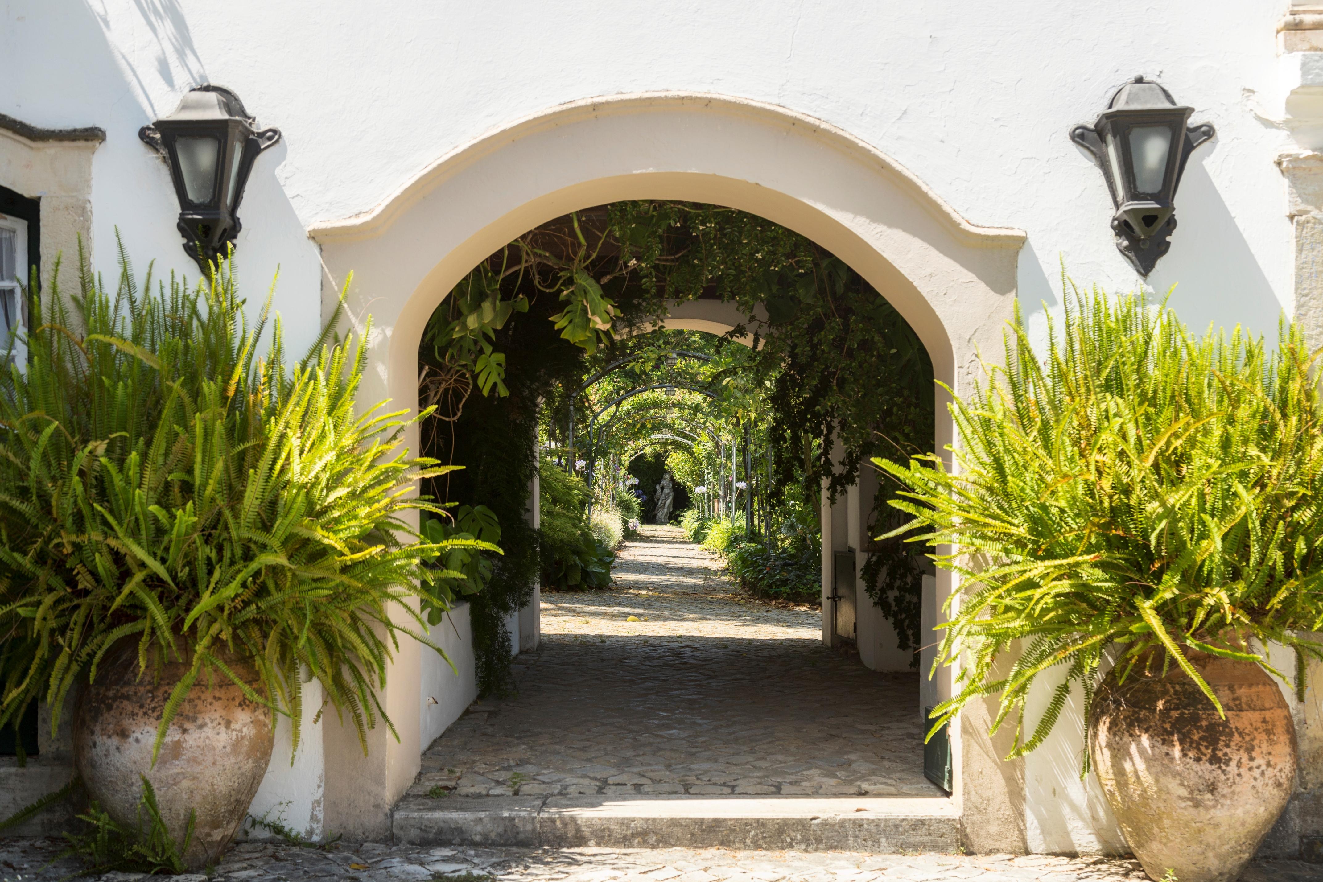 Quinta De Sao Lourenco Anadia Exteriör bild