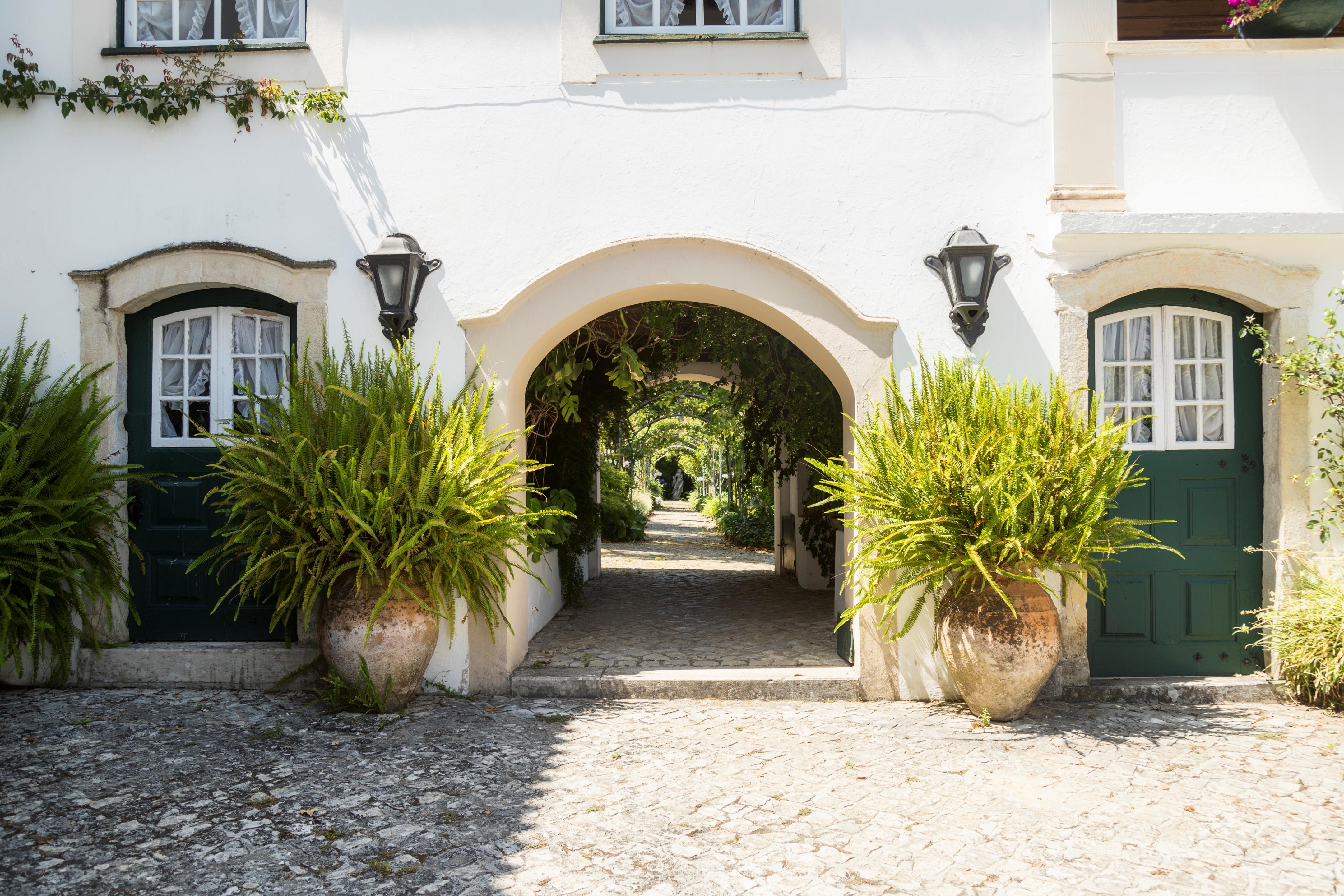Quinta De Sao Lourenco Anadia Exteriör bild