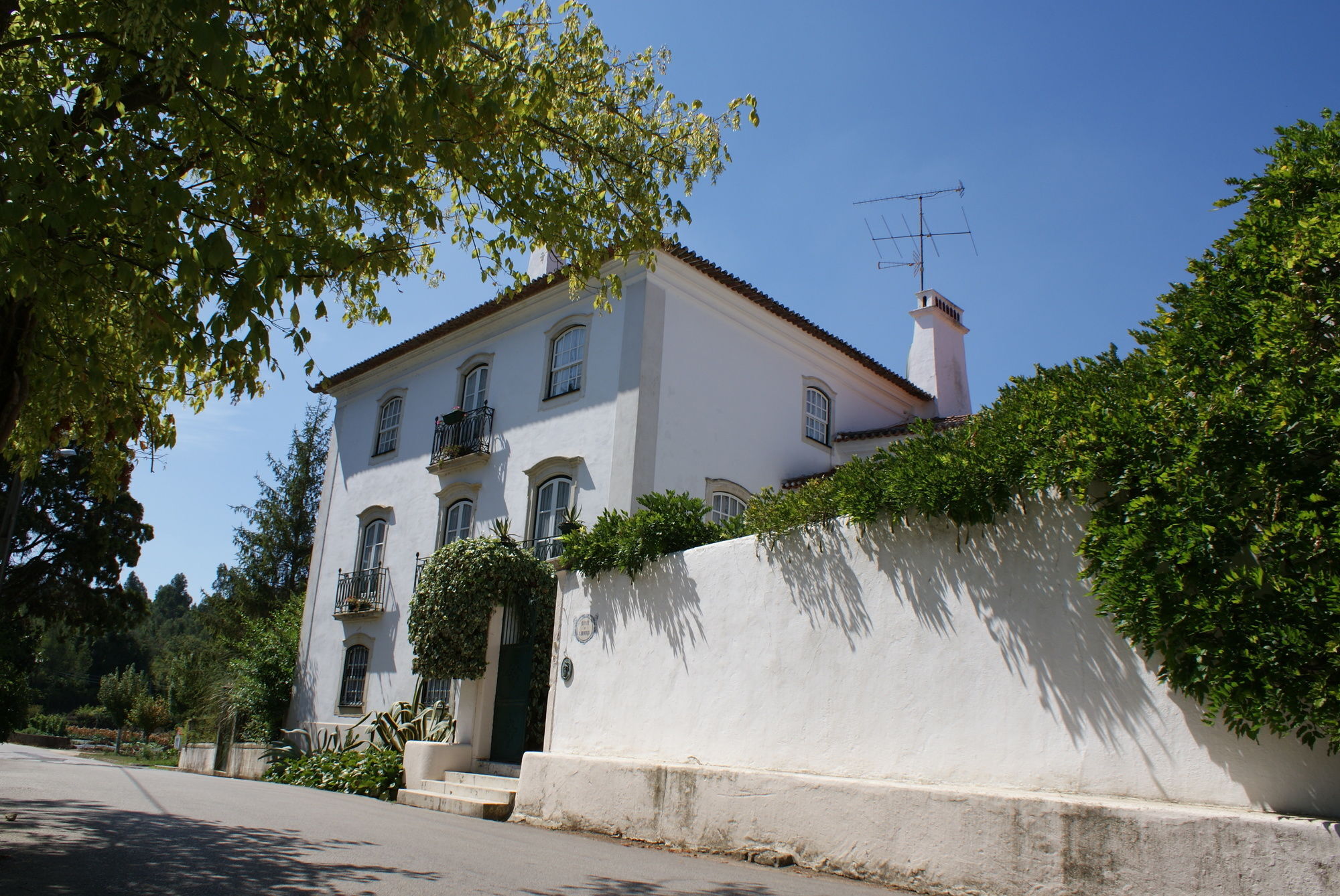 Quinta De Sao Lourenco Anadia Exteriör bild