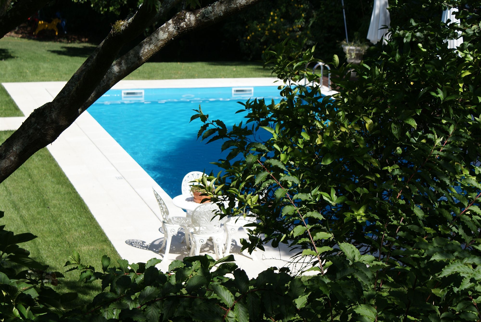Quinta De Sao Lourenco Anadia Exteriör bild